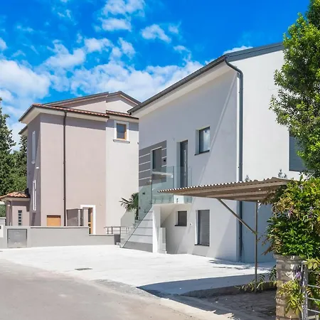 Modern Franci
